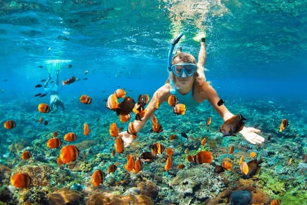 Coral Reef Snorkeling